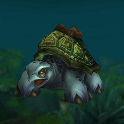 Sea Turtle Mount