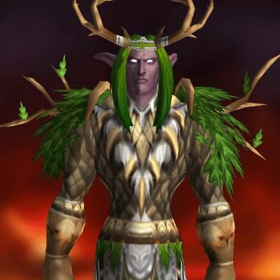 Druid Tier 1 Transmog Set - Cenarion Raiment