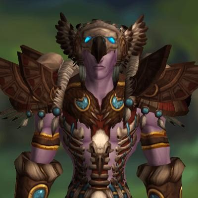 Druid Tier 6 Transmog Set - Thunderheart Raiment