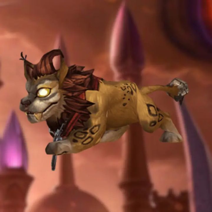 Wind Rider Cub Pet